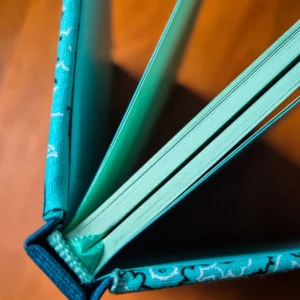 Bandana Aqua - Imagem 1