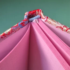 Crisântemo Rosa - Imagem 5